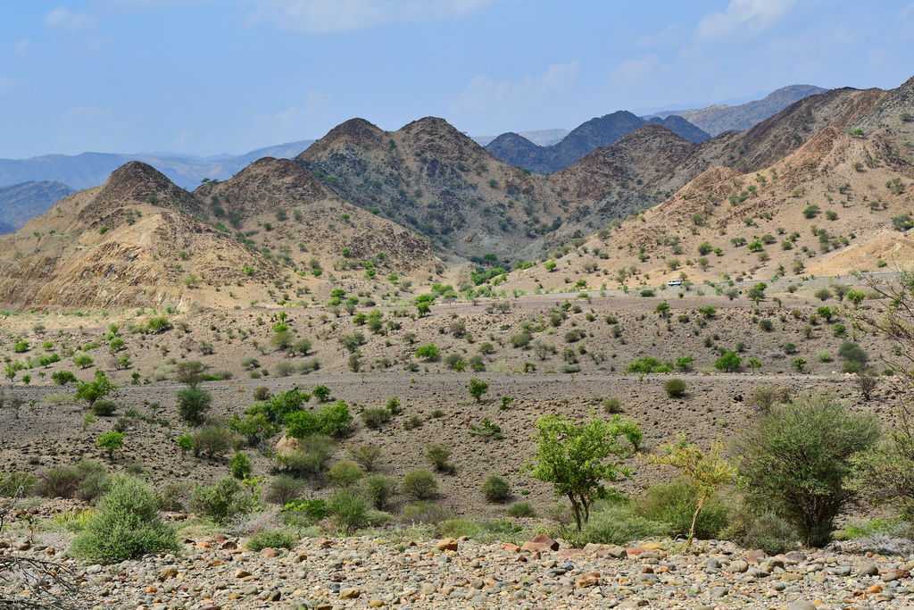 Afdera to Mekele